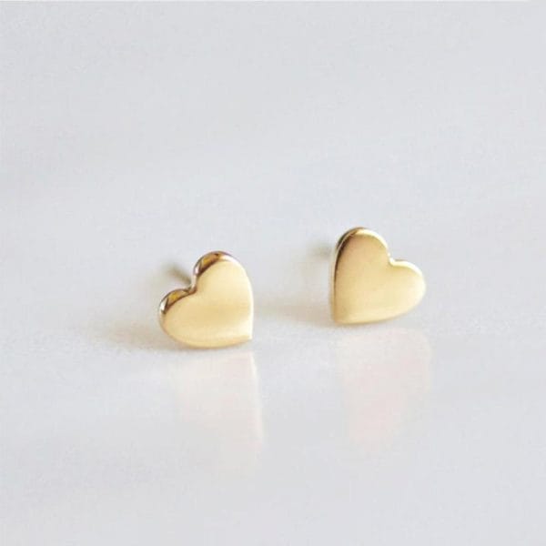Shiny Titanium Heart Earrings
